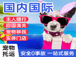 威海机场物流国际宠物托运 【国